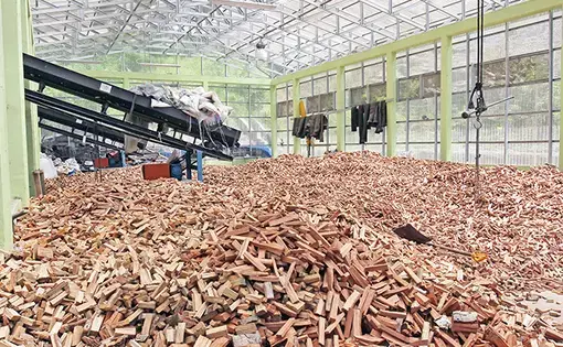  Wood chips to fuel the Saliguna PLTBm in Siberut last July. Image by Febrianti/Tempo. Indonesia, 2020.
