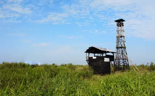 Fire tower guarding over peatland. Image by Slamet Mulyadi/Shutterstock. Indonesia, 2019.