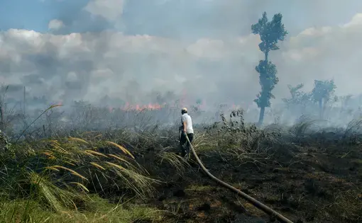 Firefighters are near smoke from forest fires in dry tropical forests, South Kalimantan, Borneo, Indonesia. Image by donny sophandi/Shutterstock. Indonesia, undated.