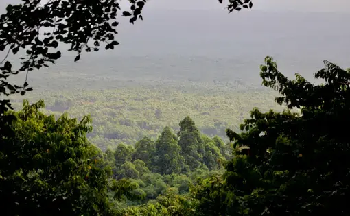 A view of the rainforest in the DRC. Image by&nbsp;Kiki Dohmeier / Shutterstock. Democratic Republic of the Congo, undated.