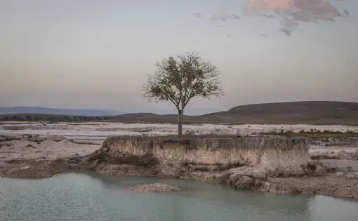 Campo Alegre is the largest mining area in Canaima National Park, located in the Gran Sabana, in the park’s eastern sector, in southeastern Venezuela. Image by Fabiola Ferrero. Venezuela, 2020.