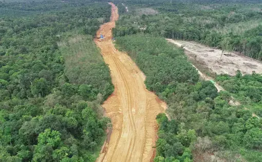 PT Marga Bara Jaya’s new coal haul road. Image by Erwan Hermawan/TEMPO. Indonesia, 19 June 2020.
