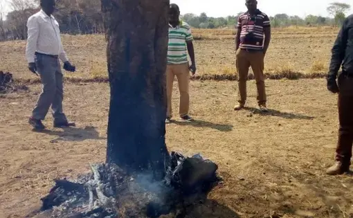 Local community members witnessing a burning tree at the Ulyankhulu Forest Reserve in Urambo District in Tabora Region recently. Photo by Veronica Mapunda.