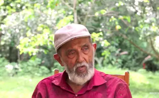 Raimundão. Image by Le Monde Diplomatique Brasil. Brazil, 2020.
