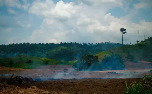 Deforestation on the livestock farm in the municipality of São Félix do Xingu, in Pará. Image by Marcio Isensee/Shutterstock. Brazil, date unknown.