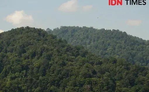 A view of mountains in the Petungkriyono forest area, Indonesia.