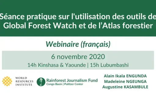 Séance pratique sur l'utilisation des outils de Global Forest Watch et de l’Atlas forestier (Webinaire).