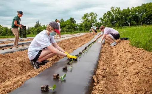 People plant seeds at a farm.