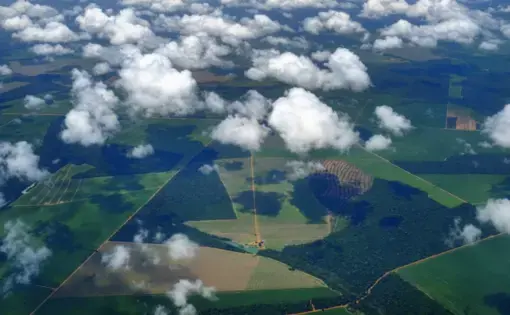Vista del municipio de Sinop desde las alturas, donde se aprecian las áreas de selva junto a los campos de cultivo industriales. El de la soja ha llevado a esta ciudad del Estado brasileño de Mato Grosso a prosperar hasta el punto de tener una renta per cápita un 40% superior a la media del país. Foto de Melissa Chan. Brasil, 2020.