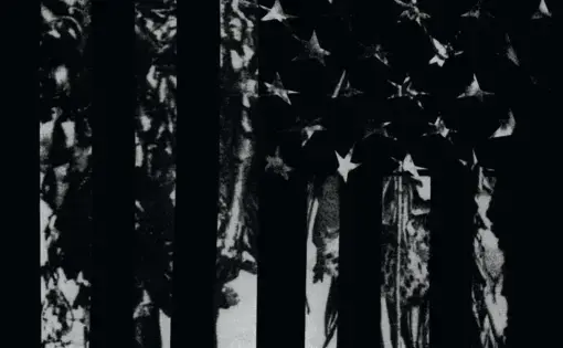 ARTWORK BY ADAM PENDLETON in the 1619 Project