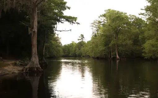 Lumber River