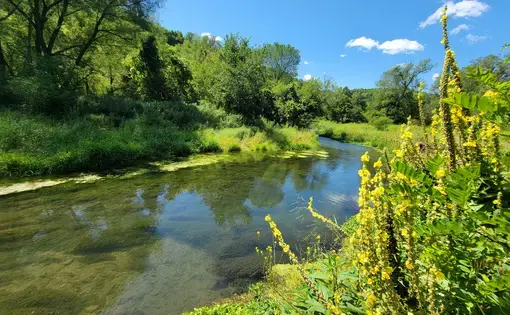 Bloody Run Creek in Iowa