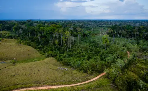 aerial view of a road cutting through the Amazon forest