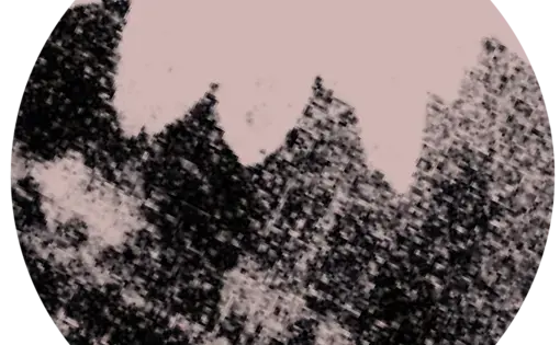 a black and white textural design