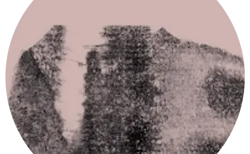 a black and white textural design