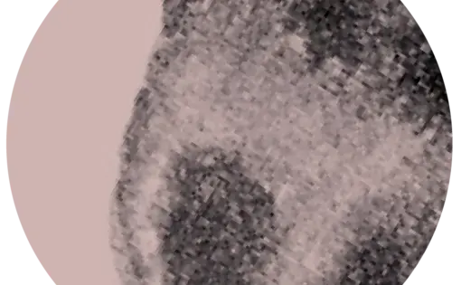 a black and white textural design