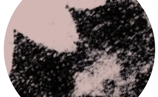 a black and white textural design