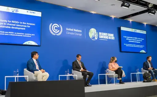 Brazilian panel at COP26