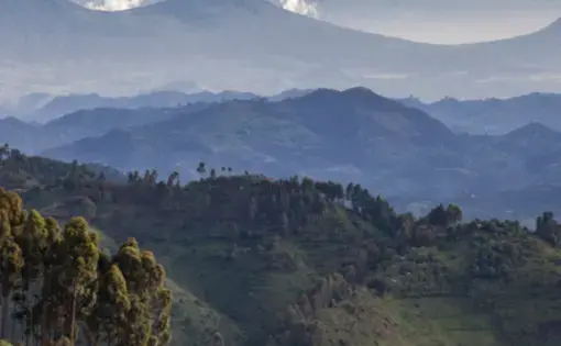 An aerial shot of a tropical mountain range in the Congo Basin.