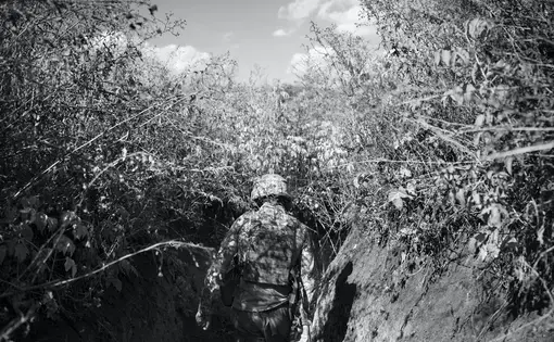 Photo of solider