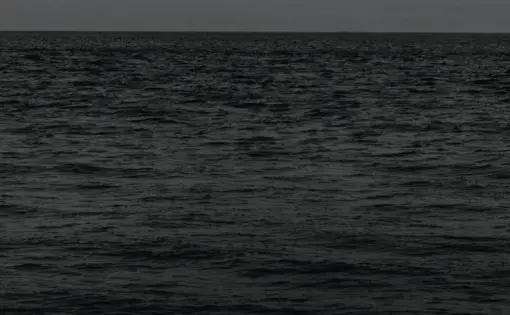 1619 Water background