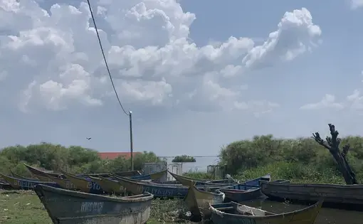 canoes docked