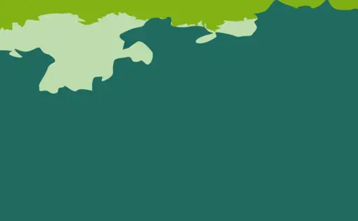 A rainforest logo