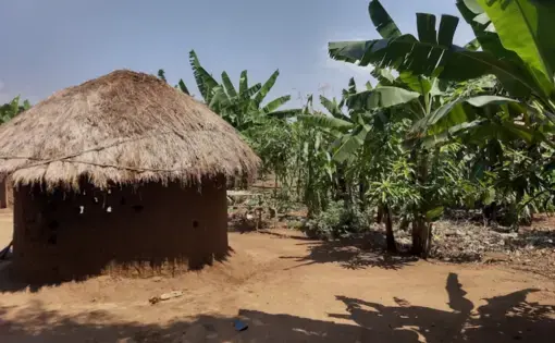 Hut