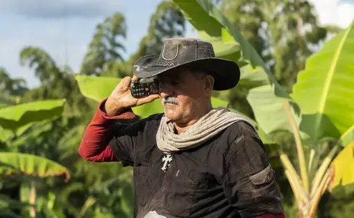 portrait of Anibal