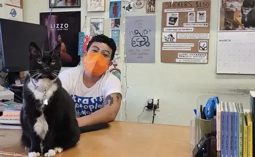 Bookstore cat sitting on a table in front of an employee
