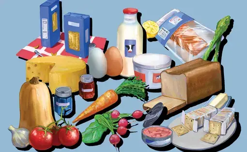 illustration of groceries