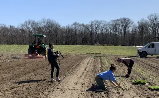 Gabriella films people planting