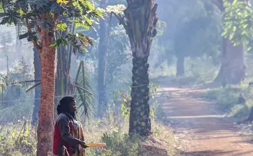 a woman is on a forest