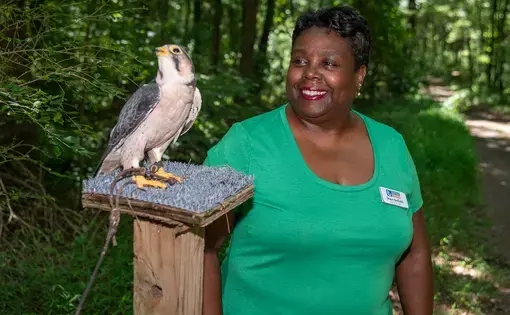 A smiling woman and a bird on a level pedestal look to frame left.