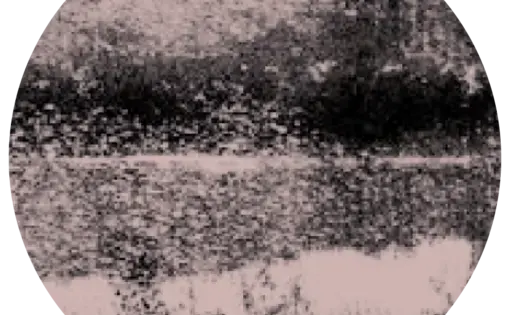 1619 User Icon