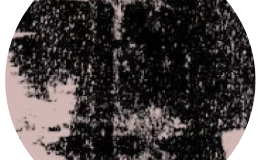 1619 User Icon