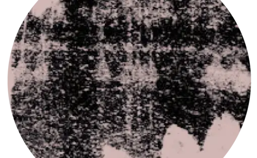 1619 User Icon