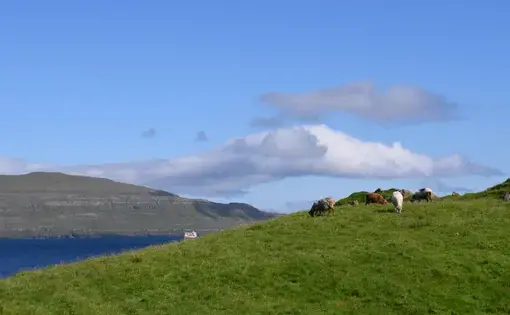 Green hills and a blue sky landscape