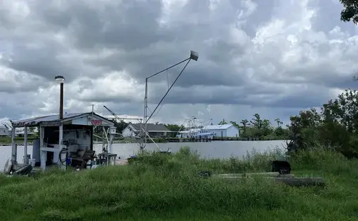 site
