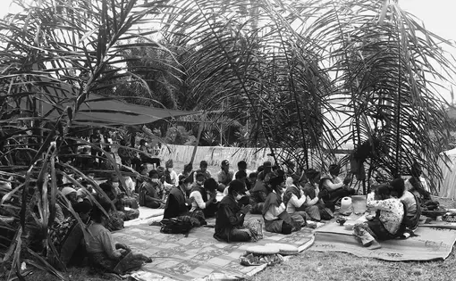 people gather in the rainforest