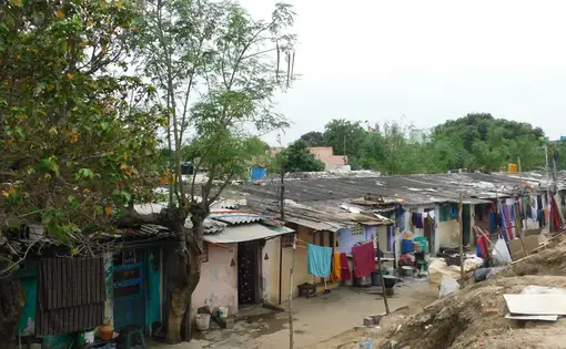Cooum River