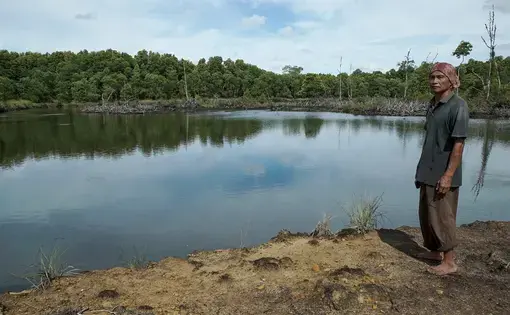 a man stands near a river