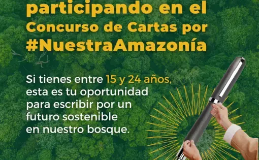 graphic with text showing a hand holding writing utensils overlaid on a background of rainforest foliage