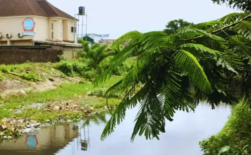A canal in Lagos