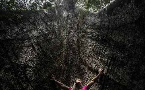 a woman poses near a tree