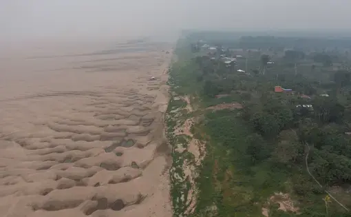 amazon dried