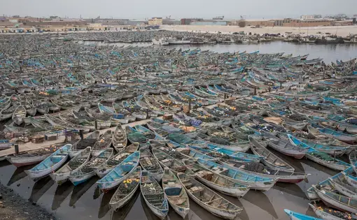 Octopus fishery in Nouadhibou, Mauretania