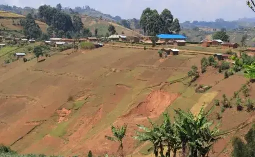 Landslides in mini-family fields following the lack of anti-erosion hedges
