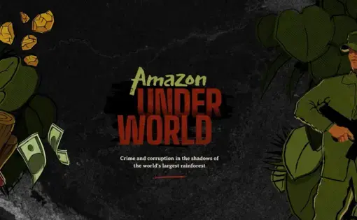 Text: Amazon Underworld, Crime and Corruption in the Shadows of the World's Largest Rainforest. Illustration: cash, gold nuggets, a knife, and an armed soldier over a black background.