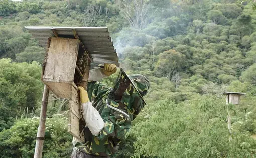 A man dressed in camouflage.
